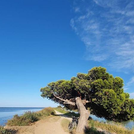 T2 Cosy A La Plage, Terrasse Vue Sur Mer Et Parking Privatif Narbonne Kültér fotó