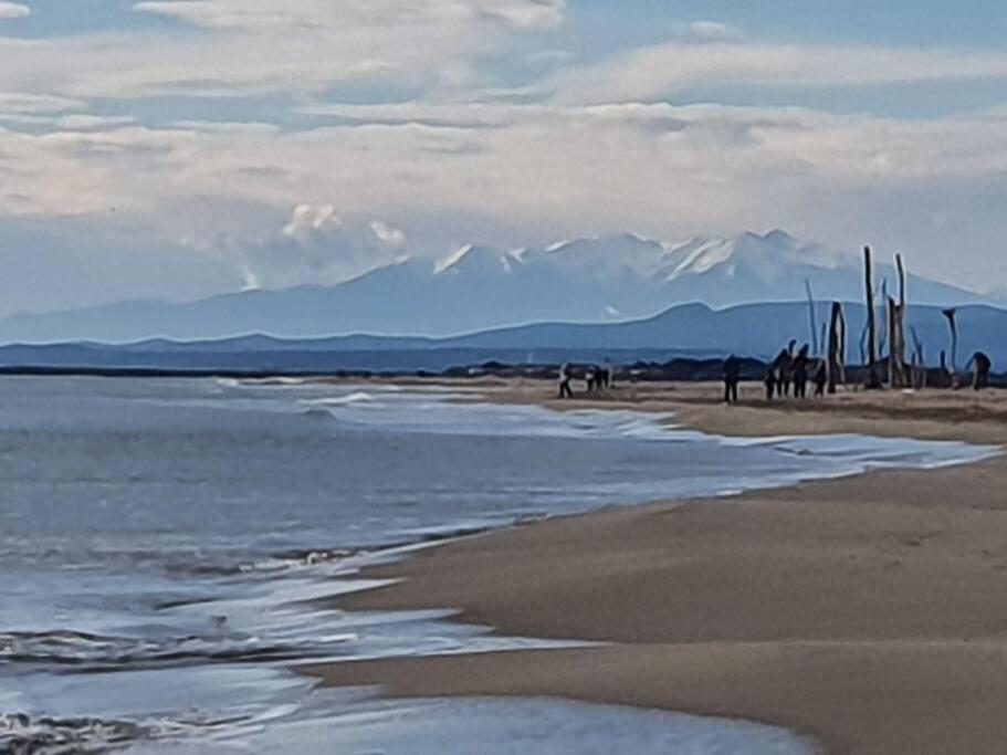 T2 Cosy A La Plage, Terrasse Vue Sur Mer Et Parking Privatif Narbonne Kültér fotó