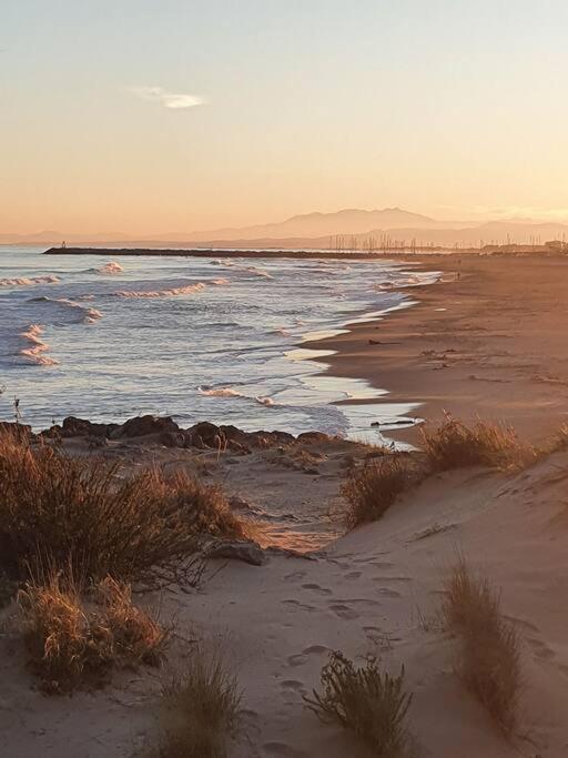 T2 Cosy A La Plage, Terrasse Vue Sur Mer Et Parking Privatif Narbonne Kültér fotó