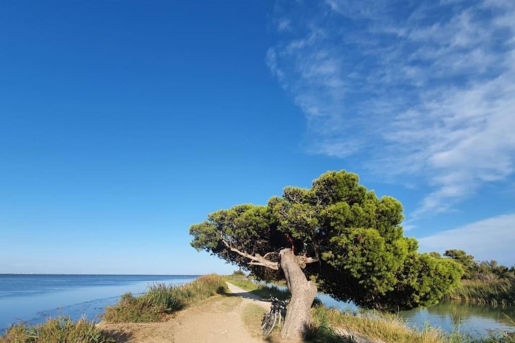 T2 Cosy A La Plage, Terrasse Vue Sur Mer Et Parking Privatif Narbonne Kültér fotó